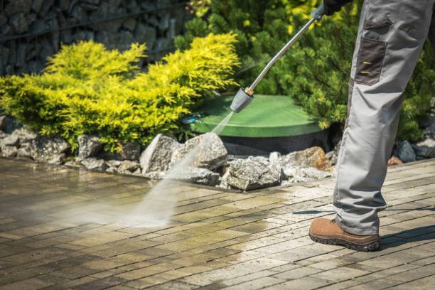 Best Pool Deck Cleaning in Hart, TX